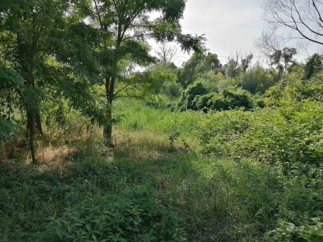 Eladó telek, Szőlősgyörökön 11.5 M Ft / költözzbe.hu