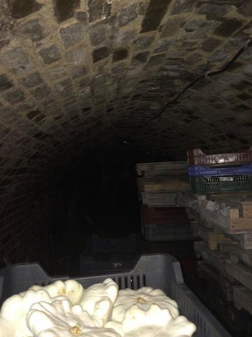 Eladó mezogazdasagi ingatlan, Pakson 10 M Ft / költözzbe.hu