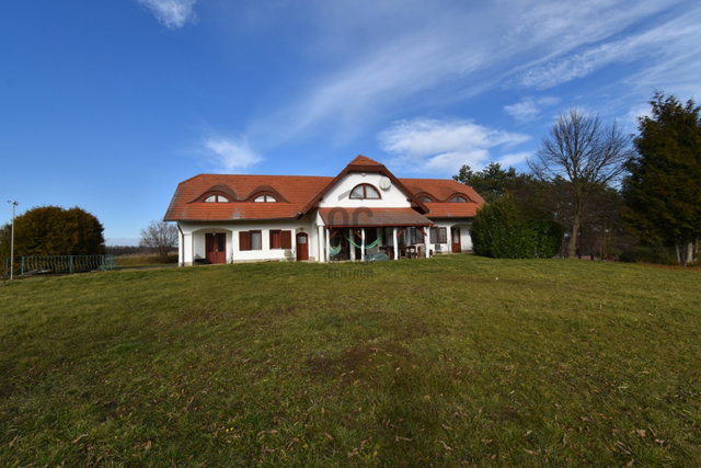Eladó családi ház, Borsfán 115 M Ft, 12 szobás