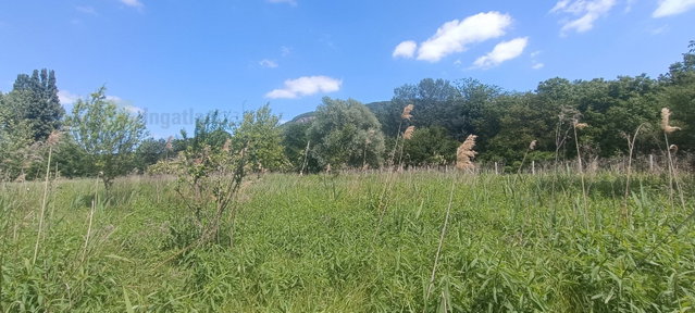 Eladó telek, Badacsonytördemicen 14.5 M Ft / költözzbe.hu