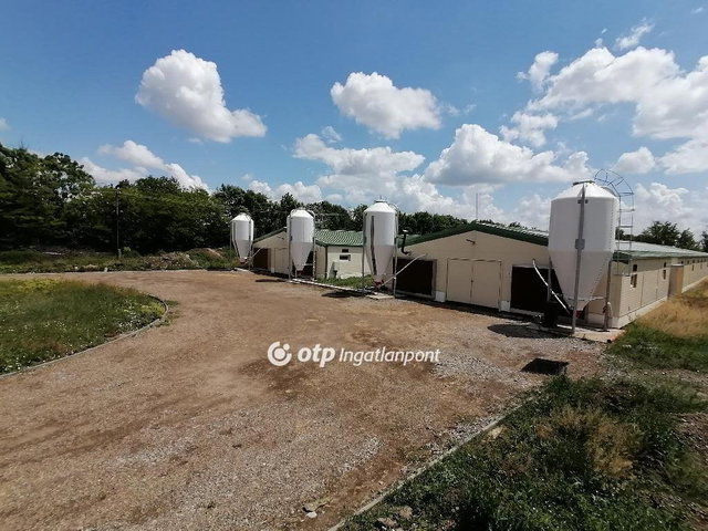 Eladó ipari ingatlan, Szentesen 250 M Ft / költözzbe.hu