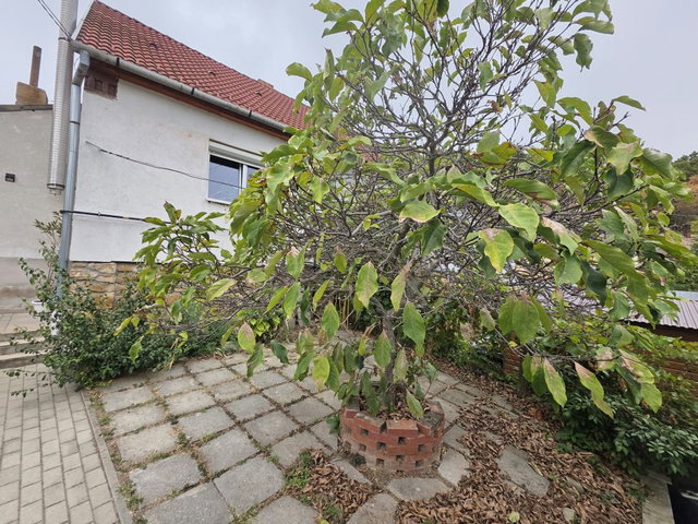 Eladó sorház, Pécsett 17.99 M Ft, 3 szobás