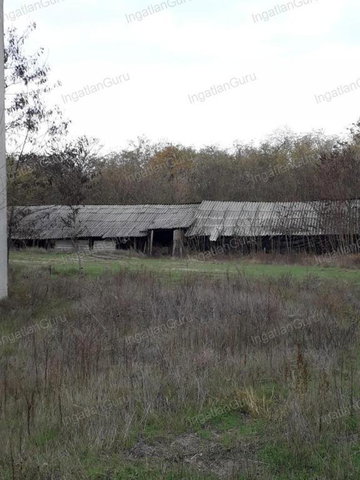 Eladó mezogazdasagi ingatlan, Lajosmizsén 75 M Ft