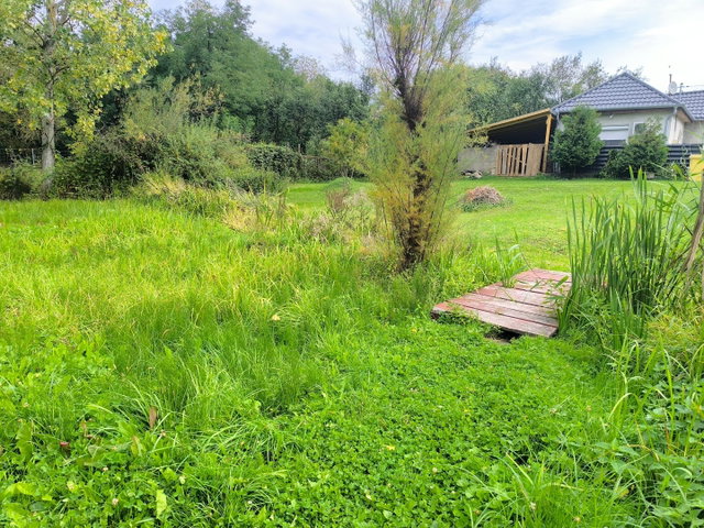 Eladó telek, Harsányban 1.35 M Ft / költözzbe.hu