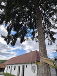 Eladó családi ház, Ozmánbükön 5.9 M Ft, 1 szobás