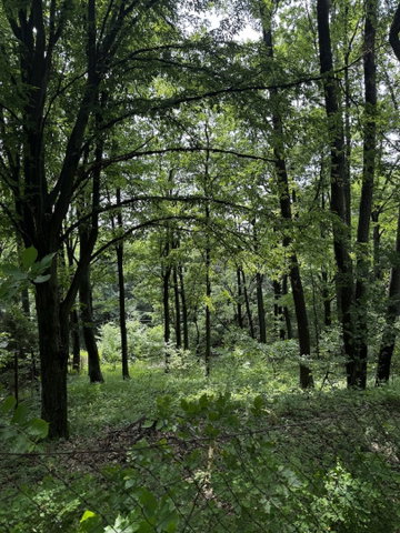 Eladó telek, Mátraszentimrén, Kankalin utcában 21.9 M Ft