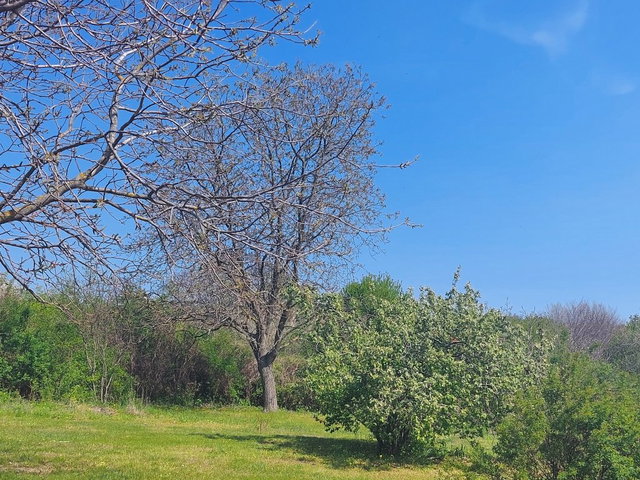 Eladó telek, Sukorón 8.5 M Ft / költözzbe.hu
