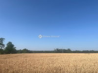 Eladó telek, Balatonszabadiban 27.9 M Ft / költözzbe.hu