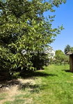 Eladó családi ház, Balatoncsicsón 81.9 M Ft, 8 szobás