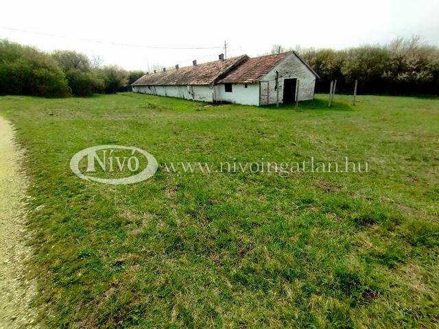 Eladó mezogazdasagi ingatlan, Veszprémben 133 M Ft