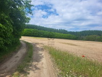 Eladó mezogazdasagi ingatlan, Pilisen 6 M Ft / költözzbe.hu