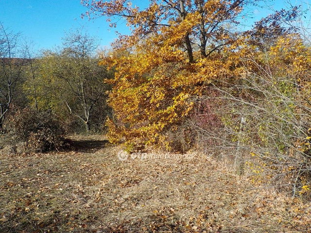 Eladó nyaraló, Kaposváron 5.2 M Ft, 1 szobás
