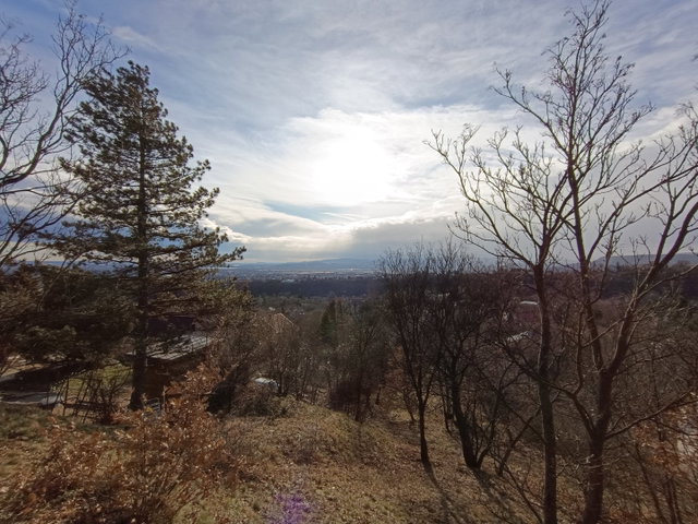 Eladó telek, Szentendrén, Hajnal utcában 40 M Ft