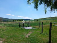 Eladó mezogazdasagi ingatlan, Biatorbágyon, Nagy utcában 209 M Ft