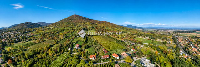 Eladó családi ház, Sátoraljaújhelyen 179 M Ft, 1 szobás