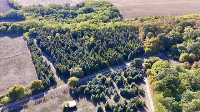 Eladó mezogazdasagi ingatlan, Galgamácsán 330 M Ft