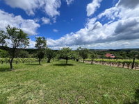 Eladó telek, Pécselyen 34 M Ft / költözzbe.hu