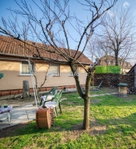 Eladó családi ház, XVIII. kerületben 120 M Ft, 5 szobás