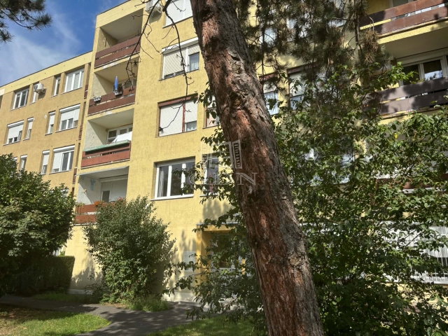Eladó téglalakás, Szombathelyen 39.2 M Ft, 2 szobás