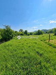 Eladó telek, Solymáron 125.9 M Ft / költözzbe.hu