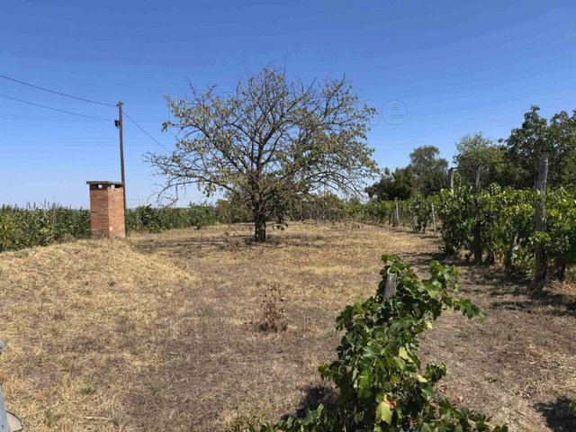 Eladó mezogazdasagi ingatlan, Siófokon 19.9 M Ft