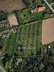 Eladó telek, Kötcsén 18.5 M Ft / költözzbe.hu