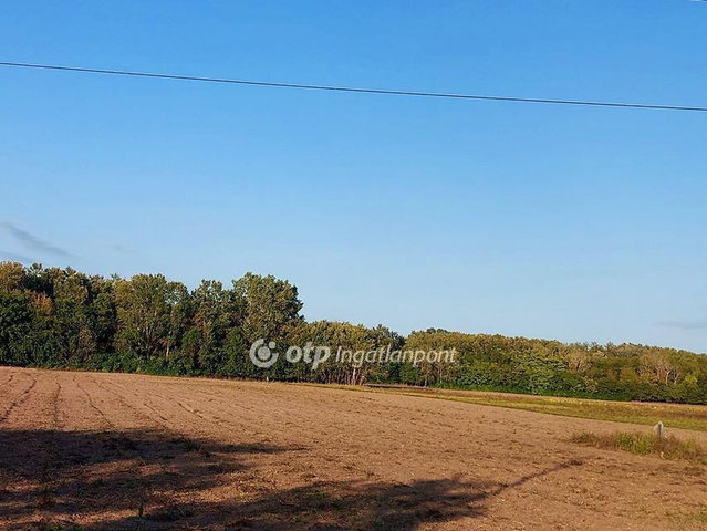 Eladó mezogazdasagi ingatlan, Ópusztaszeren 2.9 M Ft