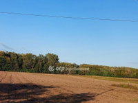 Eladó mezogazdasagi ingatlan, Ópusztaszeren 2.9 M Ft