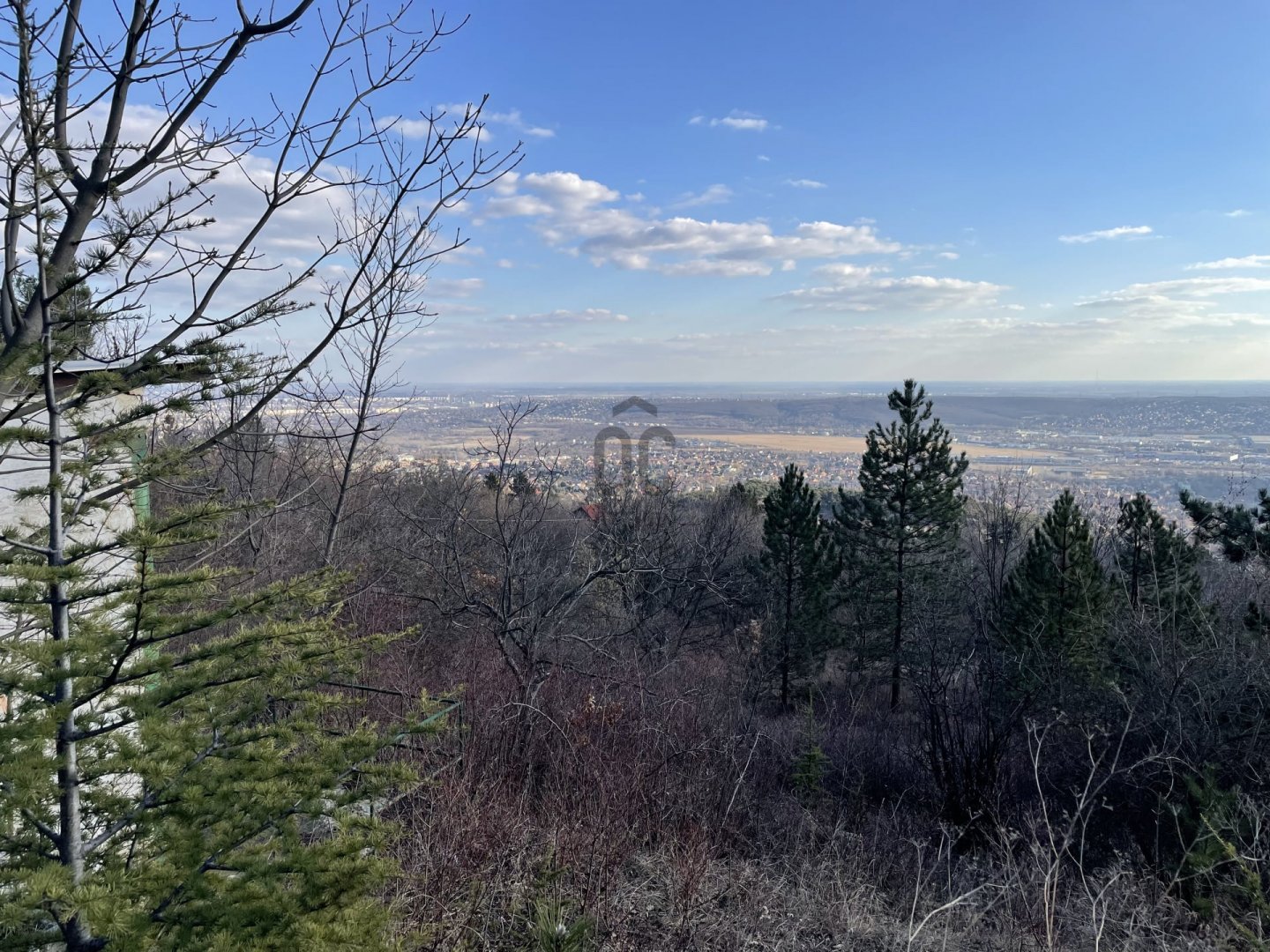 3162m² · 79.900.000 ft