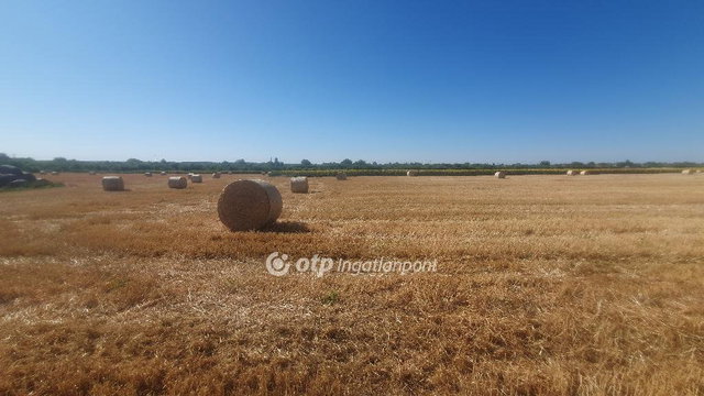 Eladó mezogazdasagi ingatlan, Tiszalúcon 315 M Ft