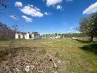 Eladó mezogazdasagi ingatlan, Csemőn 2.5 M Ft