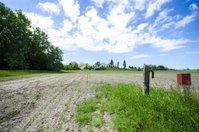 Eladó telek, Pusztavacson 99 M Ft / költözzbe.hu