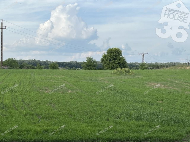 Eladó telek, Kecskeméten 39 M Ft / költözzbe.hu