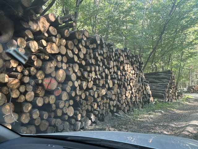 Eladó mezogazdasagi ingatlan, Inkén 250 M Ft