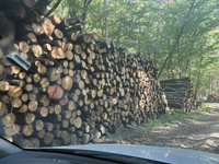 Eladó mezogazdasagi ingatlan, Inkén 250 M Ft