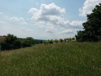 Eladó mezogazdasagi ingatlan, Igalon 2.3 M Ft