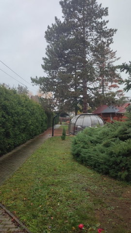 Eladó nyaraló, Szarvason 299 M Ft, 13 szobás