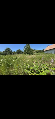 Eladó telek, Pécsett 11.7 M Ft / költözzbe.hu