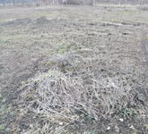 Eladó telek, Pusztaszabolcson 15 M Ft / költözzbe.hu