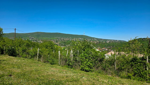 Eladó telek, Pécsett, Bogár dűlőn 8.5 M Ft