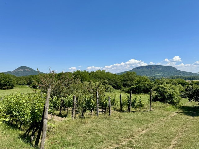 Eladó nyaraló, Hegymagason 44.9 M Ft, 1 szobás