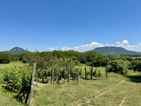 Eladó nyaraló, Hegymagason 44.9 M Ft, 1 szobás