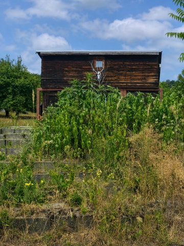 Eladó családi ház, Nagymaroson 76 M Ft, 1 szobás