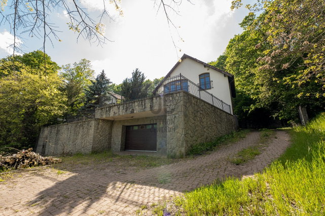 Eladó családi ház, Leányfaluban 400 M Ft, 9 szobás