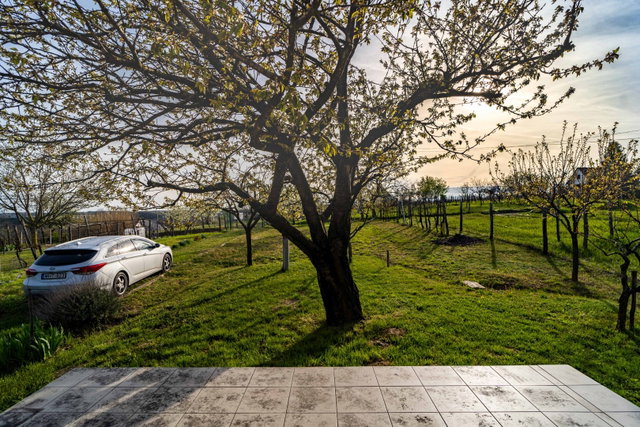 Eladó mezogazdasagi ingatlan, Szekszárdon 10.5 M Ft