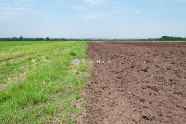 Eladó telek, Tápiószőlősön 20 M Ft / költözzbe.hu