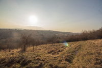 Eladó mezogazdasagi ingatlan, Miskolcon, Közdomb utcában 6.5 M Ft