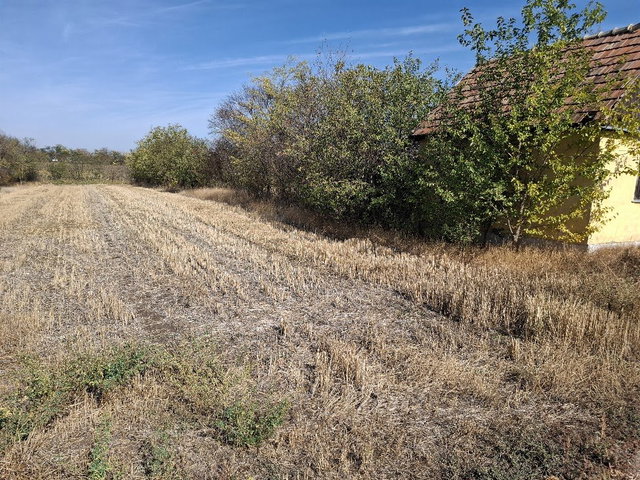 Eladó telek, Hajdúszoboszlón 1.3 M Ft / költözzbe.hu