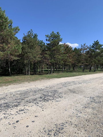 Eladó telek, Tárnokon 19.5 M Ft / költözzbe.hu