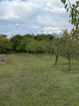 Eladó telek, Nyíregyházán 17.5 M Ft / költözzbe.hu